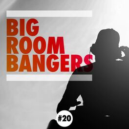 Album cover of Big Room Bangers, Vol. 20