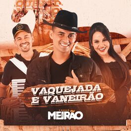 Album cover of Vaquejada e Vaneirão