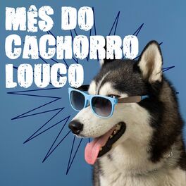 Album cover of Mês do Cachorro Louco