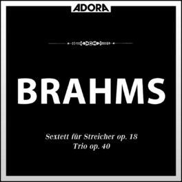 Album cover of Brahms: Sextett für Streicher, Op. 18 - Trio, Op. 40