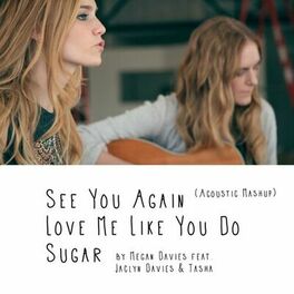Album cover of See You Again, Love Me Like You Do, Sugar (Acoustic Mashup)