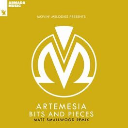 Album cover of Bits And Pieces (Matt Smallwood Remix)