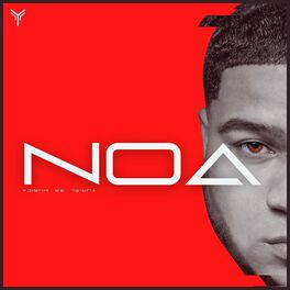 Album cover of Noa