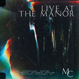 Album cover of Live At The Manor