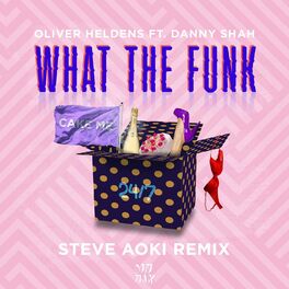 Album cover of What The Funk (feat. Danny Shah) (Steve Aoki Remix)