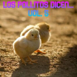 Album cover of Los Pollitos Dicen Vol. 5