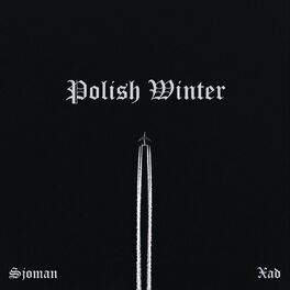 Album cover of Polish Winter (Remix)