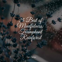 Album cover of 25 Best of Mindfulness: Triumphant Rainforest