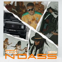 Album cover of N'dass (feat. Black K)