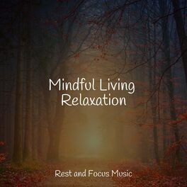 Album cover of Mindful Living Relaxation