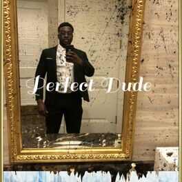 Album cover of Perfect Dude