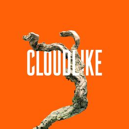 Album cover of Cloudlike