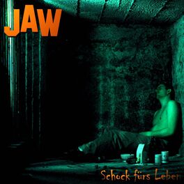 Album cover of Schock fürs Leben
