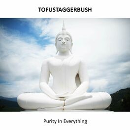 Album cover of Purity In Everything