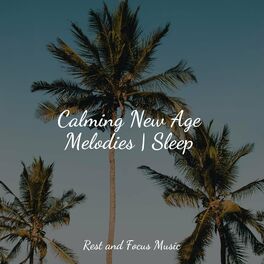 Album cover of Calming New Age Melodies | Sleep