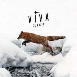 Album cover of Viva Suecia