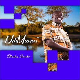 Album cover of Ndi Mwari
