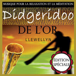 Album cover of Didgeridoo de l'or: musique pour la relaxation et la méditation: édition spéciale