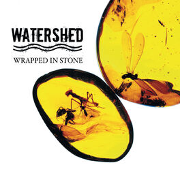 Album cover of Wrapped In Stone