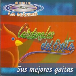 Album cover of Sus Mejores Gaitas