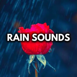 Album cover of Spring Rain Sounds For Deep Sleep ASMR (Loop Any Track)