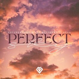 Album cover of Perfect Sky