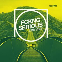 Album cover of Fckng Serious One Year