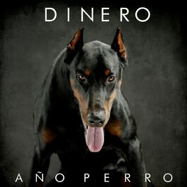 Album cover of Año perro