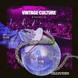 Album cover of Vintage Culture & Friends, Vol. 5
