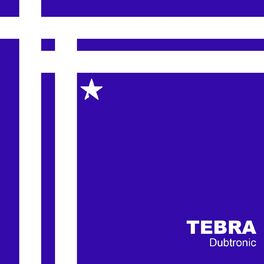 Album cover of Dubtronic