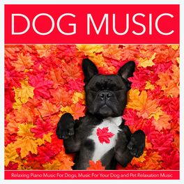 Album cover of Dog Music: Relaxing Piano Music For Dogs, Music For Your Dog and Pet Relaxation Music