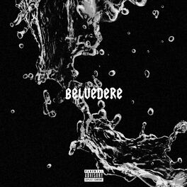 Album cover of BELVEDERE
