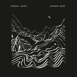 Album cover of Shadow Work