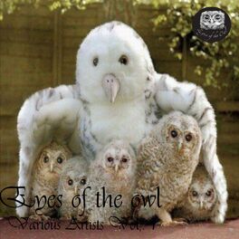 Album cover of Eyes of the Owl, Vol. 1