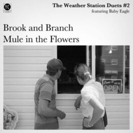 Album cover of Duets #2