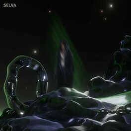 Album cover of SELVA