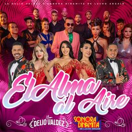 Album cover of El Alma al Aire
