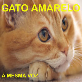 Album picture of A Mesma Voz