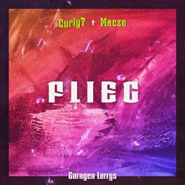 Album cover of Flieg