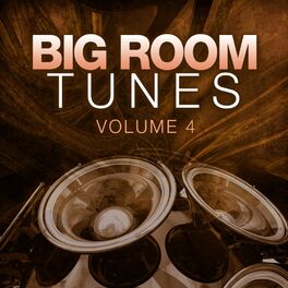 Album cover of Big Room Tunes, Vol. 4