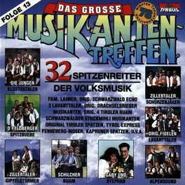Album cover of Das große Musikantentreffen - Folge 13