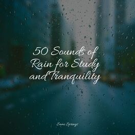 Album cover of 50 Sounds of Rain for Study and Tranquility