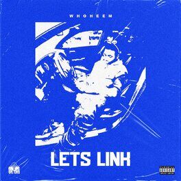 Album picture of Lets Link