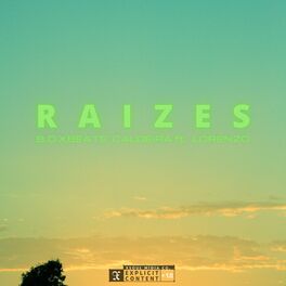 Album cover of Raizes
