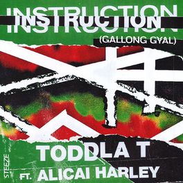 Album cover of Instruction (Gallong Gyal)