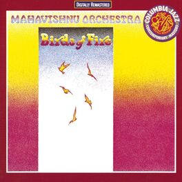 Album cover of Birds Of Fire
