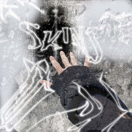 Album cover of skins