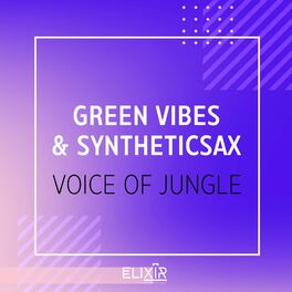 Album cover of Voice Of Jungle
