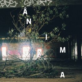 Album cover of Ânima