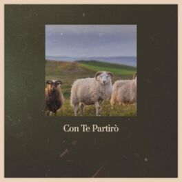 Album cover of Con Te Partirò